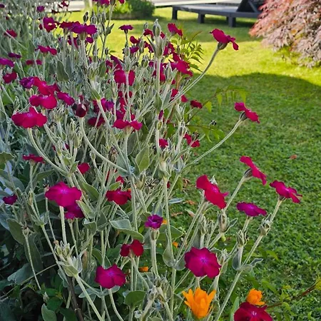 Le Pavachon Familiale Piscine Privee Chauffee - Aux Portes Du Puy Dufou