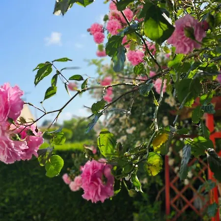度假居 Le Pavachon Familiale Piscine Privee Chauffee - Aux Portes Du Puy Dufou *