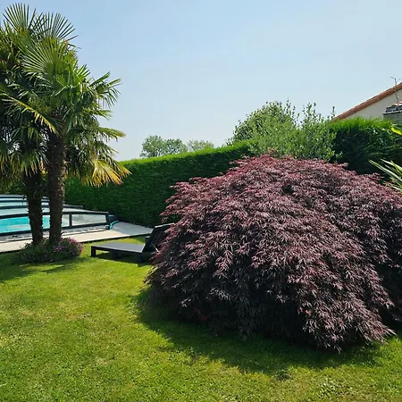 Les Du Pavachon Au Porte Du Puy Dufou *