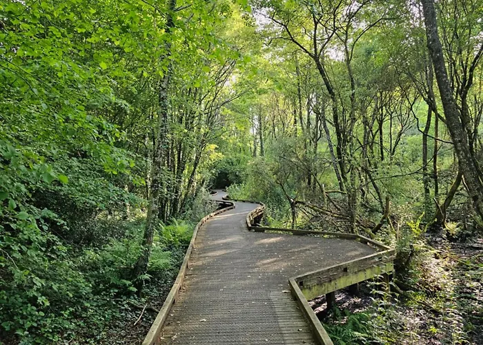 Le Pavachon Familiale Piscine Privee Chauffee - Aux Portes Du Puy Dufou *