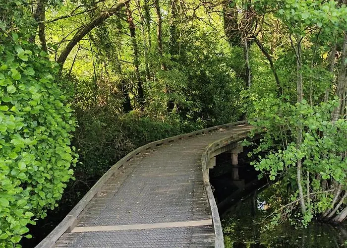 Le Pavachon Familiale Piscine Privee Chauffee - Aux Portes Du Puy Dufou Σπίτι διακοπών