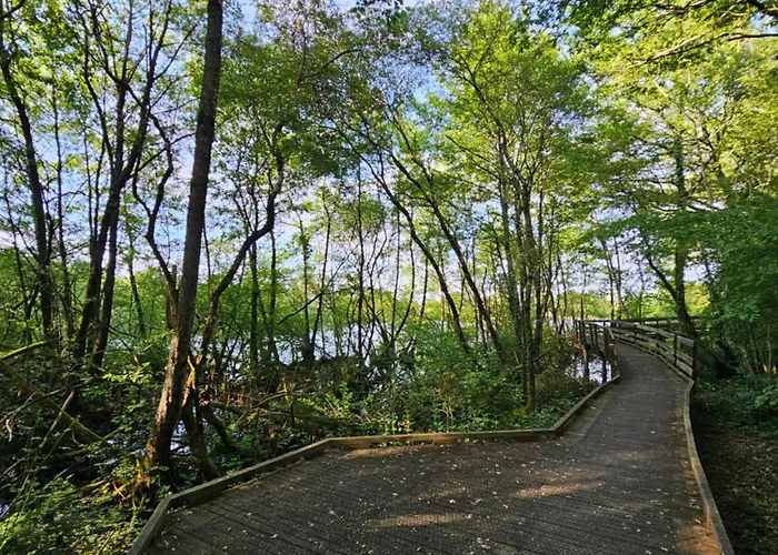 Σπίτι διακοπών Le Pavachon Familiale Piscine Privee Chauffee - Aux Portes Du Puy Dufou