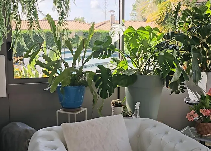 Le Pavachon Familiale Piscine Privee Chauffee - Aux Portes Du Puy Dufou *