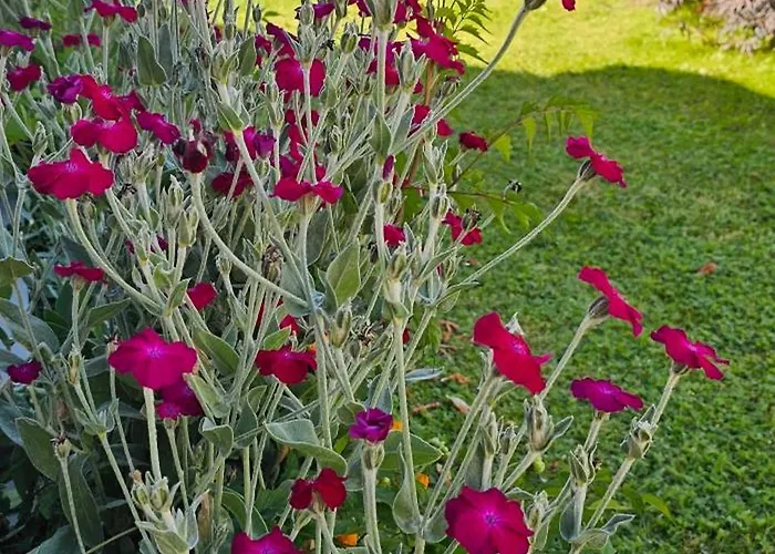 Le Pavachon Familiale Piscine Privee Chauffee - Aux Portes Du Puy Dufou