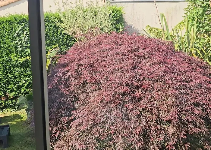 Le Pavachon Familiale Piscine Privee Chauffee - Aux Portes Du Puy Dufou *