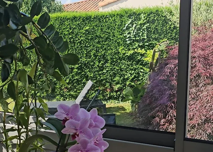 Le Pavachon Familiale Piscine Privee Chauffee - Aux Portes Du Puy Dufou Σπίτι διακοπών *