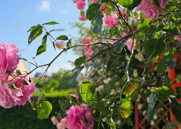 בית נופש Le Pavachon Familiale Piscine Privee Chauffee - Aux Portes Du Puy Dufou *