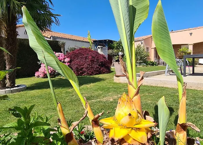 Le Pavachon Familiale Piscine Privee Chauffee - Aux Portes Du Puy Dufou Σπίτι διακοπών